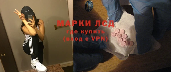 ПСИЛОЦИБИНОВЫЕ ГРИБЫ Няндома