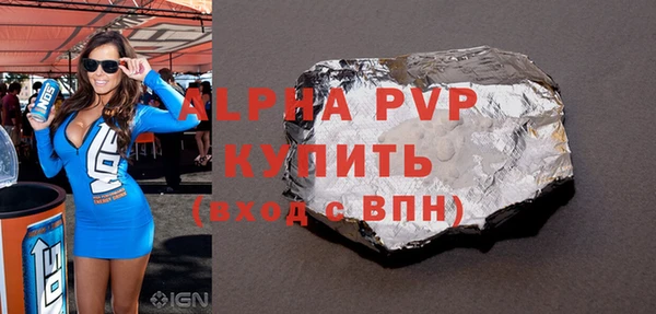 прущие грибы Нягань