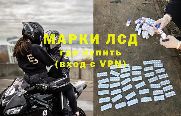 прущие грибы Нягань