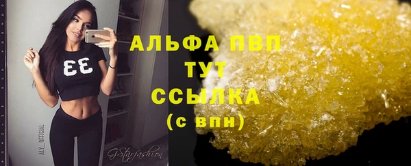 ПСИЛОЦИБИНОВЫЕ ГРИБЫ Няндома