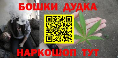 шишки Аргун