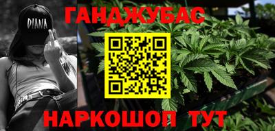 шишки Аргун