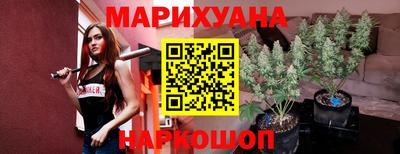 шишки Аргун