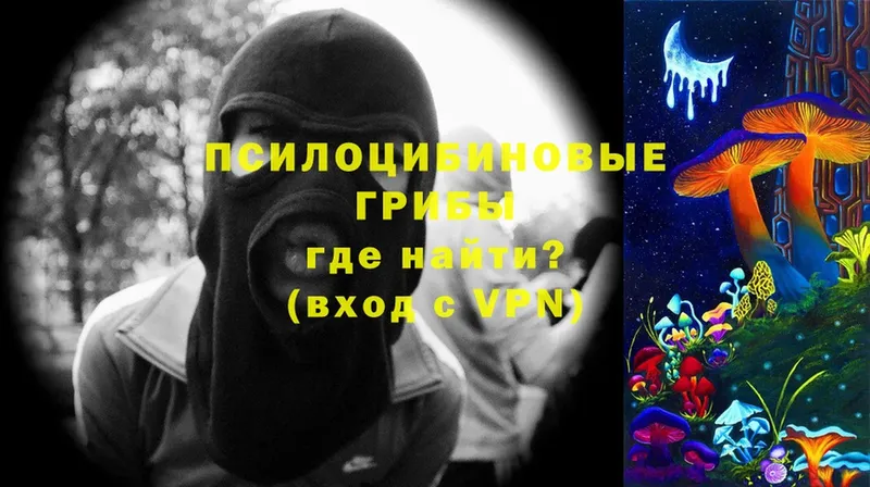 Галлюциногенные грибы Magic Shrooms  гидра зеркало  Тобольск 