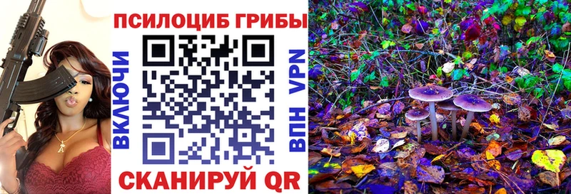Галлюциногенные грибы Psilocybine cubensis  Тобольск 