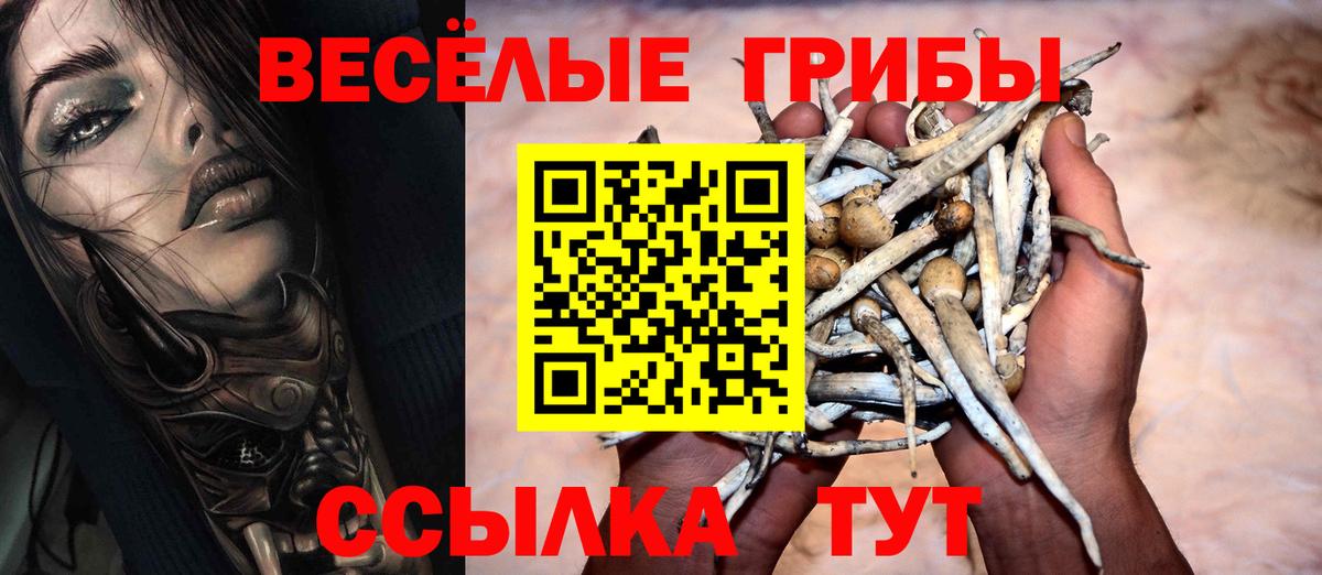 Псилоцибиновые грибы Psilocybine cubensis  Вход с VPN  Тобольск 