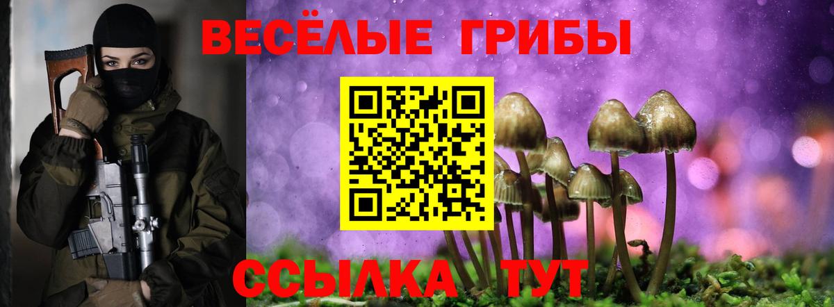 Псилоцибиновые грибы Magic Shrooms  Тобольск 